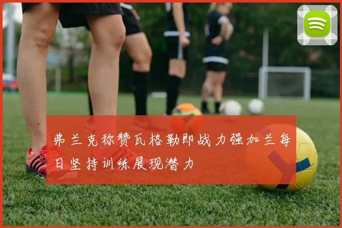 弗兰克称赞瓦格勒即战力强加兰每日坚持训练展现潜力