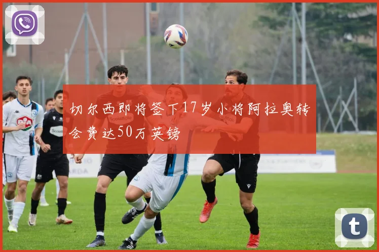 切尔西即将签下17岁小将阿拉奥转会费达50万英镑