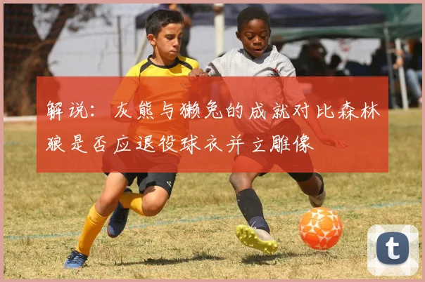 解说：灰熊与獭兔的成就对比森林狼是否应退役球衣并立雕像