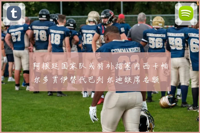 阿根廷国家队或将补招塞内西卡帕尔多贾伊替代巴列尔迪缺席名额